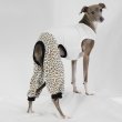 画像22: イタグレ服 S M L XL 2XL 3XL ヒョウ柄 ロンパース つなぎ レオパードゆったり ジョガーパンツ 小型犬 中型犬 大型犬 春夏 doggystar ドッギースター 即日発送できます (22)