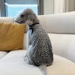 画像23: イタグレ服 S M L XL 2XL 3XL ヒョウ柄 タンクトップ Tシャツ レオパード 小型犬 中型犬 大型犬 春 夏服 doggystar ドッギースター 即日発送できます (23)