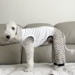 画像28: イタグレ服 S M L XL 2XL 3XL ヒョウ柄 ロンパース つなぎ レオパードゆったり ジョガーパンツ 小型犬 中型犬 大型犬 春夏 doggystar ドッギースター 即日発送できます (28)