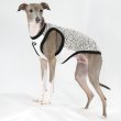 画像28: イタグレ服 S M L XL 2XL 3XL ヒョウ柄 タンクトップ Tシャツ レオパード 小型犬 中型犬 大型犬 春 夏服 doggystar ドッギースター 即日発送できます (28)