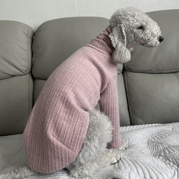 画像13: イタグレ服 無地ニットTシャツ S M L XL 2XL 3XL 小型犬 中型犬 春夏秋冬室内着 インナー doggystar ドッギースター 即日発送出来ます (13)