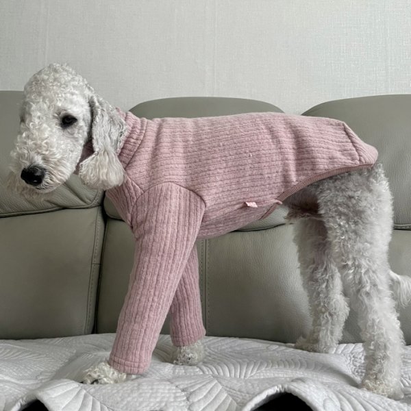 画像12: イタグレ服 無地ニットTシャツ S M L XL 2XL 3XL 小型犬 中型犬 春夏秋冬室内着 インナー doggystar ドッギースター 即日発送出来ます (12)