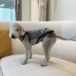 画像24: イタグレ服 S M L XL 2XL 3XL ヒョウ柄 タンクトップ Tシャツ レオパード 小型犬 中型犬 大型犬 春 夏服 doggystar ドッギースター 即日発送できます (24)