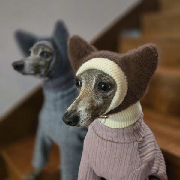 画像28: イタグレ帽子 S  L 小型犬 中型犬 秋冬 耳付き ニットキャップ ビニー帽 ほっかむり帽子（服は含まれません）doggystar ドッギースター即日発送出来ます。 (28)