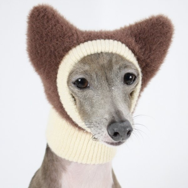 画像8: イタグレ帽子 S  L 小型犬 中型犬 秋冬 耳付き ニットキャップ ビニー帽 ほっかむり帽子（服は含まれません）doggystar ドッギースター即日発送出来ます。 (8)