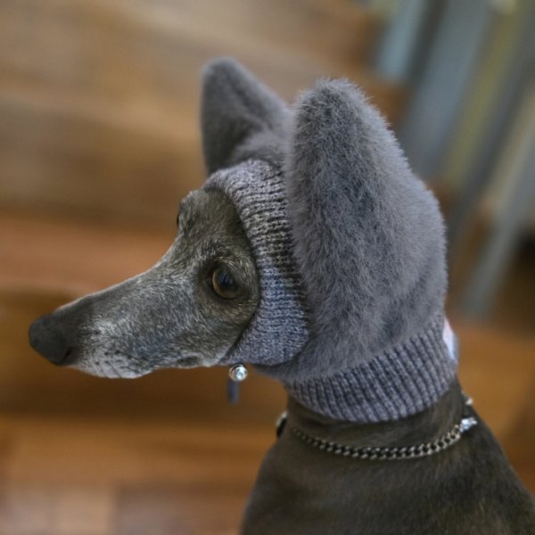 画像25: イタグレ帽子 S  L 小型犬 中型犬 秋冬 耳付き ニットキャップ ビニー帽 ほっかむり帽子（服は含まれません）doggystar ドッギースター即日発送出来ます。 (25)