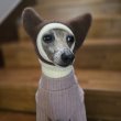 画像13: イタグレ帽子 S  L 小型犬 中型犬 秋冬 耳付き ニットキャップ ビニー帽 ほっかむり帽子（服は含まれません）doggystar ドッギースター9/8より発送致します (13)