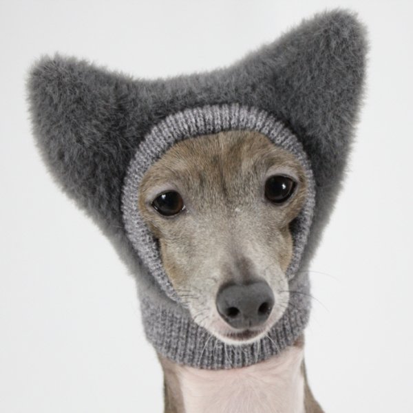 画像20: イタグレ帽子 S  L 小型犬 中型犬 秋冬 耳付き ニットキャップ ビニー帽 ほっかむり帽子（服は含まれません）doggystar ドッギースター即日発送出来ます。 (20)
