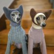 画像1: イタグレ帽子 S  L 小型犬 中型犬 秋冬 耳付き ニットキャップ ビニー帽 ほっかむり帽子（服は含まれません）doggystar ドッギースター9/8より発送致します (1)