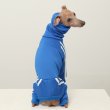 画像7: イタグレ  S M L XL 2XL 3XL  裏起毛 ジャージ  ロンパース つなぎ 小型犬 中型犬 大型犬 春 秋 冬服 doggystar ドッギースター  即日発送できます。 (7)