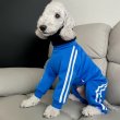 画像39: イタグレ  S M L XL 2XL 3XL  裏起毛 ジャージ  ロンパース つなぎ 小型犬 中型犬 大型犬 春 秋 冬服 doggystar ドッギースター  即日発送できます。 (39)