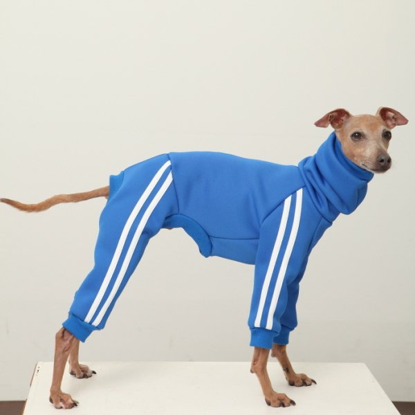 画像3: イタグレ服  S M L XL 2XL 3XL  裏起毛 ジャージ  ロンパース つなぎ 小型犬 中型犬 大型犬 春 秋 冬服 doggystar ドッギースター  即日発送できます。 (3)