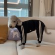 画像41: イタグレ  S M L XL 2XL 3XL  裏起毛 ジャージ  ロンパース つなぎ 小型犬 中型犬 大型犬 春 秋 冬服 doggystar ドッギースター  即日発送できます。 (41)