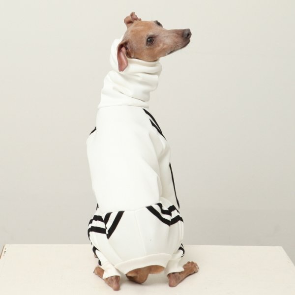 画像15: イタグレ服  S M L XL 2XL 3XL  裏起毛 ジャージ  ロンパース つなぎ 小型犬 中型犬 大型犬 春 秋 冬服 doggystar ドッギースター  即日発送できます。 (15)