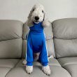 画像37: イタグレ  S M L XL 2XL 3XL  裏起毛 ジャージ  ロンパース つなぎ 小型犬 中型犬 大型犬 春 秋 冬服 doggystar ドッギースター  即日発送できます。 (37)