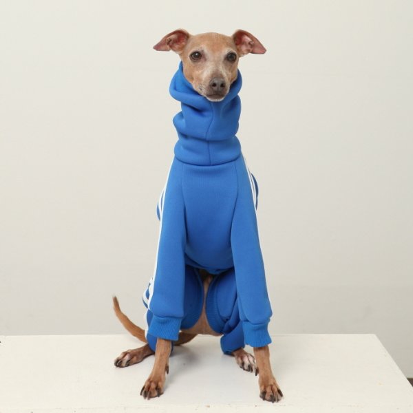 画像6: イタグレ服  S M L XL 2XL 3XL  裏起毛 ジャージ  ロンパース つなぎ 小型犬 中型犬 大型犬 春 秋 冬服 doggystar ドッギースター  即日発送できます。 (6)