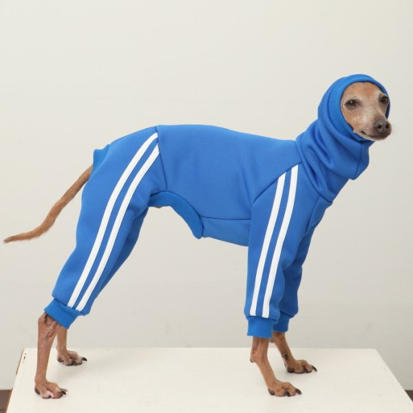 画像1: イタグレ  S M L XL 2XL 3XL  裏起毛 ジャージ  ロンパース つなぎ 小型犬 中型犬 大型犬 春 秋 冬服 doggystar ドッギースター  即日発送できます。 (1)