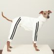画像8: イタグレ  S M L XL 2XL 3XL  裏起毛 ジャージ  ロンパース つなぎ 小型犬 中型犬 大型犬 春 秋 冬服 doggystar ドッギースター  即日発送できます。 (8)