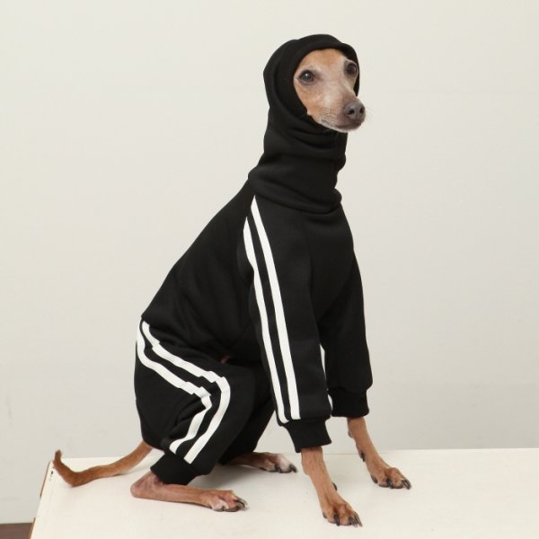 画像17: イタグレ服  S M L XL 2XL 3XL  裏起毛 ジャージ  ロンパース つなぎ 小型犬 中型犬 大型犬 春 秋 冬服 doggystar ドッギースター  即日発送できます。 (17)