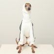 画像13: イタグレ  S M L XL 2XL 3XL  裏起毛 ジャージ  ロンパース つなぎ 小型犬 中型犬 大型犬 春 秋 冬服 doggystar ドッギースター  即日発送できます。 (13)