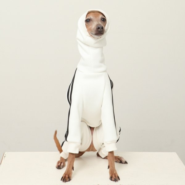 画像14: イタグレ服  S M L XL 2XL 3XL  裏起毛 ジャージ  ロンパース つなぎ 小型犬 中型犬 大型犬 春 秋 冬服 doggystar ドッギースター  即日発送できます。 (14)