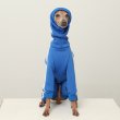 画像6: イタグレ  S M L XL 2XL 3XL  裏起毛 ジャージ  ロンパース つなぎ 小型犬 中型犬 大型犬 春 秋 冬服 doggystar ドッギースター  即日発送できます。 (6)