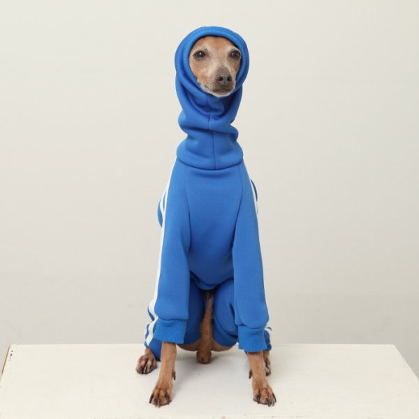 画像7: イタグレ服  S M L XL 2XL 3XL  裏起毛 ジャージ  ロンパース つなぎ 小型犬 中型犬 大型犬 春 秋 冬服 doggystar ドッギースター  即日発送できます。 (7)