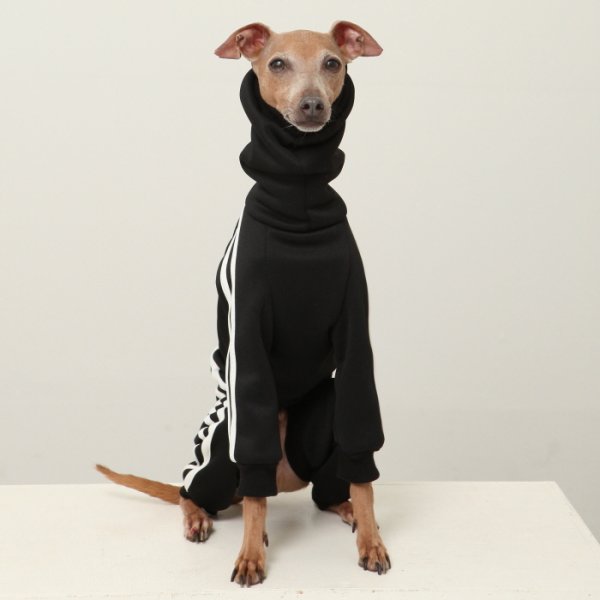 画像19: イタグレ服  S M L XL 2XL 3XL  裏起毛 ジャージ  ロンパース つなぎ 小型犬 中型犬 大型犬 春 秋 冬服 doggystar ドッギースター  即日発送できます。 (19)