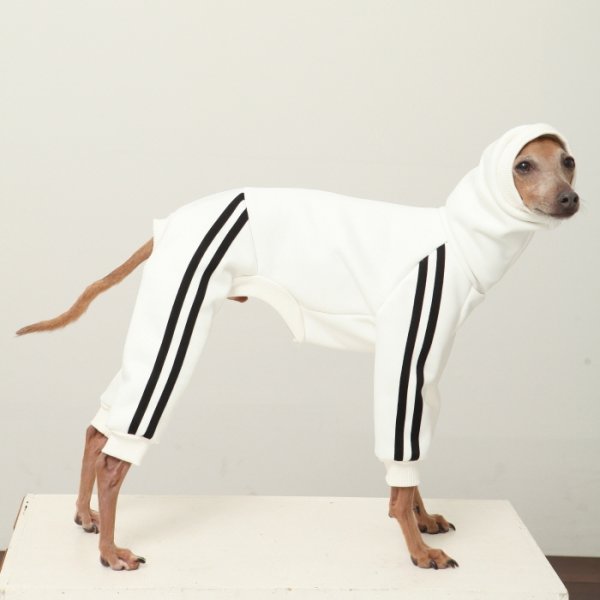 画像10: イタグレ服  S M L XL 2XL 3XL  裏起毛 ジャージ  ロンパース つなぎ 小型犬 中型犬 大型犬 春 秋 冬服 doggystar ドッギースター  即日発送できます。 (10)