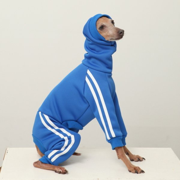 画像4: イタグレ服  S M L XL 2XL 3XL  裏起毛 ジャージ  ロンパース つなぎ 小型犬 中型犬 大型犬 春 秋 冬服 doggystar ドッギースター  即日発送できます。 (4)