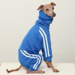 画像4: イタグレ  S M L XL 2XL 3XL  裏起毛 ジャージ  ロンパース つなぎ 小型犬 中型犬 大型犬 春 秋 冬服 doggystar ドッギースター  即日発送できます。 (4)
