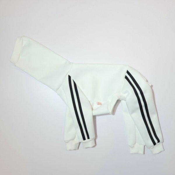 画像30: イタグレ服  S M L XL 2XL 3XL  裏起毛 ジャージ  ロンパース つなぎ 小型犬 中型犬 大型犬 春 秋 冬服 doggystar ドッギースター  即日発送できます。 (30)