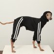 画像15: イタグレ  S M L XL 2XL 3XL  裏起毛 ジャージ  ロンパース つなぎ 小型犬 中型犬 大型犬 春 秋 冬服 doggystar ドッギースター  即日発送できます。 (15)