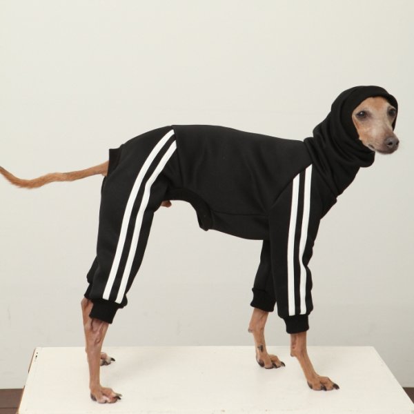 画像16: イタグレ服  S M L XL 2XL 3XL  裏起毛 ジャージ  ロンパース つなぎ 小型犬 中型犬 大型犬 春 秋 冬服 doggystar ドッギースター  即日発送できます。 (16)
