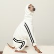 画像10: イタグレ  S M L XL 2XL 3XL  裏起毛 ジャージ  ロンパース つなぎ 小型犬 中型犬 大型犬 春 秋 冬服 doggystar ドッギースター  即日発送できます。 (10)