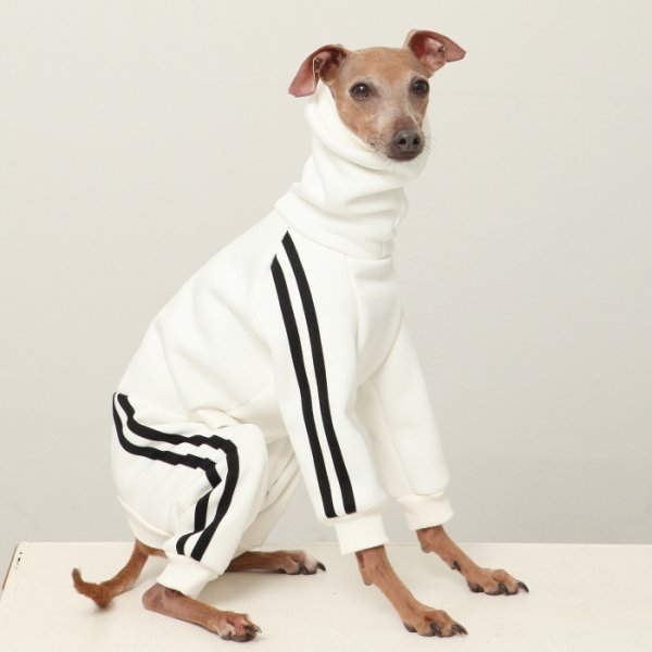 画像12: イタグレ服  S M L XL 2XL 3XL  裏起毛 ジャージ  ロンパース つなぎ 小型犬 中型犬 大型犬 春 秋 冬服 doggystar ドッギースター  即日発送できます。 (12)