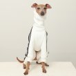 画像12: イタグレ  S M L XL 2XL 3XL  裏起毛 ジャージ  ロンパース つなぎ 小型犬 中型犬 大型犬 春 秋 冬服 doggystar ドッギースター  即日発送できます。 (12)