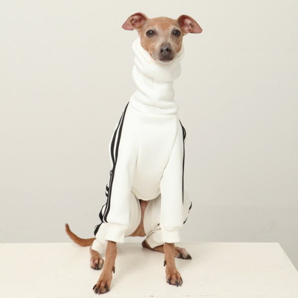 画像13: イタグレ服  S M L XL 2XL 3XL  裏起毛 ジャージ  ロンパース つなぎ 小型犬 中型犬 大型犬 春 秋 冬服 doggystar ドッギースター  即日発送できます。 (13)