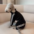 画像40: イタグレ  S M L XL 2XL 3XL  裏起毛 ジャージ  ロンパース つなぎ 小型犬 中型犬 大型犬 春 秋 冬服 doggystar ドッギースター  即日発送できます。 (40)