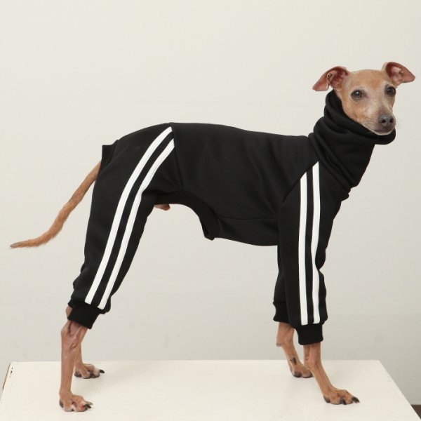 画像21: イタグレ服  S M L XL 2XL 3XL  裏起毛 ジャージ  ロンパース つなぎ 小型犬 中型犬 大型犬 春 秋 冬服 doggystar ドッギースター  即日発送できます。 (21)