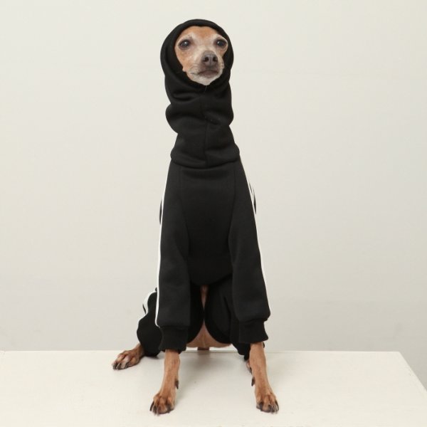 画像18: イタグレ服  S M L XL 2XL 3XL  裏起毛 ジャージ  ロンパース つなぎ 小型犬 中型犬 大型犬 春 秋 冬服 doggystar ドッギースター  即日発送できます。 (18)