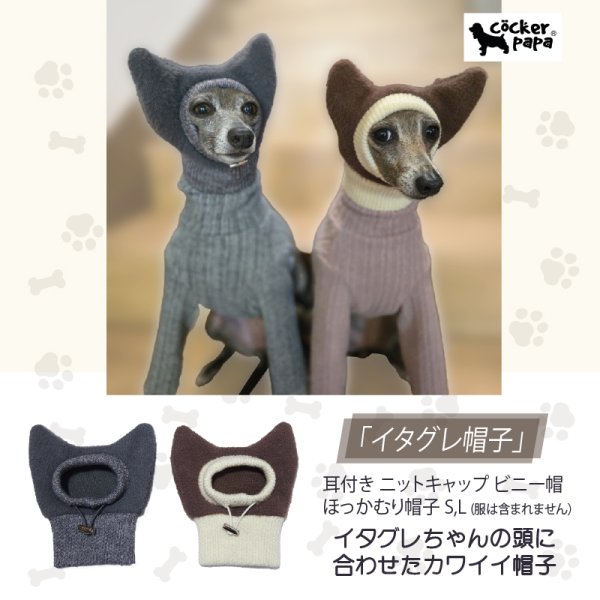 画像1: イタグレ帽子 S  L 小型犬 中型犬 秋冬 耳付き ニットキャップ ビニー帽 ほっかむり帽子（服は含まれません）doggystar ドッギースター即日発送出来ます。 (1)