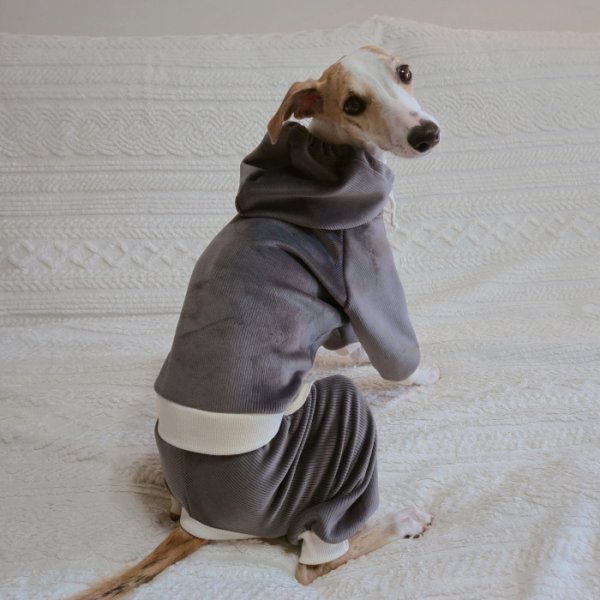 画像18: イタグレ服  S M L XL 2XL 3XL コーデュロイ パーカー リブ地   ロンパース つなぎ 小型犬 中型犬 大型犬 春 秋 冬服 doggystar ドッギースター  即日発送できます。 (18)