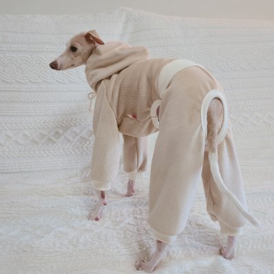 画像2: イタグレ服  S M L XL 2XL 3XL 　パーカー コーデュロイ リブ地   ロンパース つなぎ 小型犬 中型犬 大型犬 春 秋 冬服 doggystar ドッギースター  10/14より発送できます。