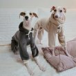 画像27: イタグレ服  S M L XL 2XL 3XL 　パーカー コーデュロイ リブ地   ロンパース つなぎ 小型犬 中型犬 大型犬 春 秋 冬服 doggystar ドッギースター  10/14より発送できます。 (27)
