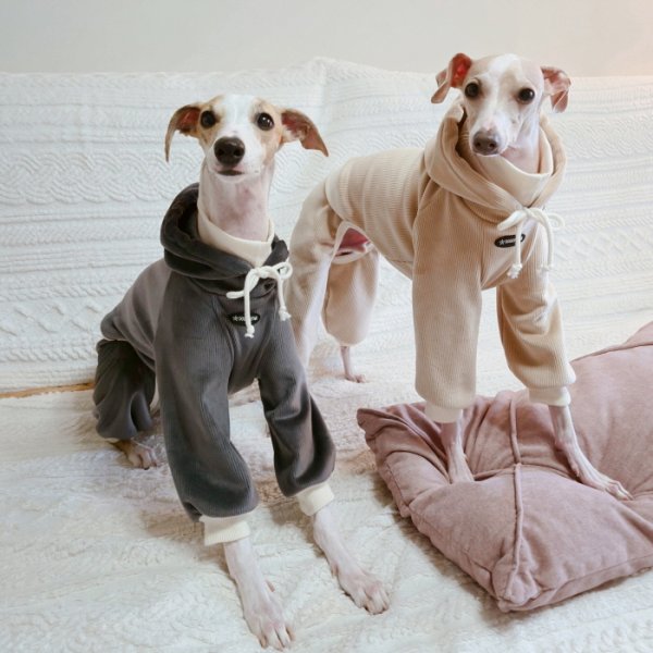 画像17: イタグレ服  S M L XL 2XL 3XL コーデュロイ パーカー リブ地   ロンパース つなぎ 小型犬 中型犬 大型犬 春 秋 冬服 doggystar ドッギースター  即日発送できます。 (17)