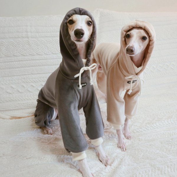 画像16: イタグレ服  S M L XL 2XL 3XL コーデュロイ パーカー リブ地   ロンパース つなぎ 小型犬 中型犬 大型犬 春 秋 冬服 doggystar ドッギースター  即日発送できます。 (16)