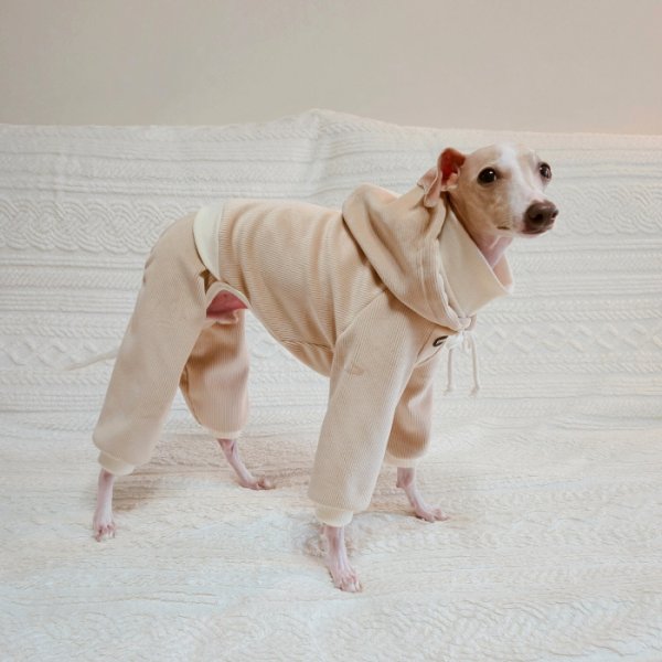 画像10: イタグレ服  S M L XL 2XL 3XL コーデュロイ パーカー リブ地   ロンパース つなぎ 小型犬 中型犬 大型犬 春 秋 冬服 doggystar ドッギースター  即日発送できます。 (10)