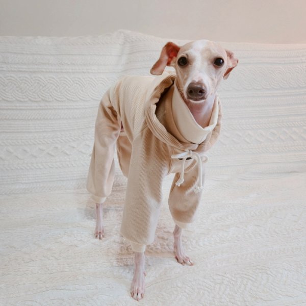 画像9: イタグレ服  S M L XL 2XL 3XL コーデュロイ パーカー リブ地   ロンパース つなぎ 小型犬 中型犬 大型犬 春 秋 冬服 doggystar ドッギースター  即日発送できます。 (9)