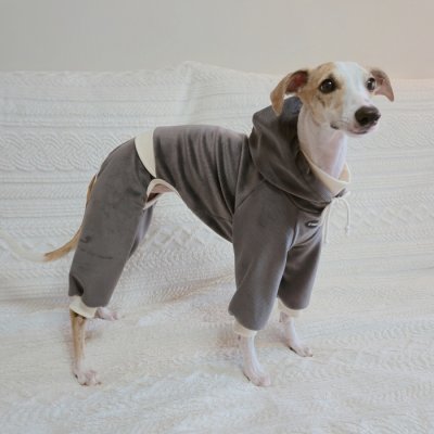 画像1: イタグレ服  S M L XL 2XL 3XL 　パーカー コーデュロイ リブ地   ロンパース つなぎ 小型犬 中型犬 大型犬 春 秋 冬服 doggystar ドッギースター  10/14より発送できます。